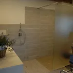 아파트 In Pietra E Legno Con Caminetto
