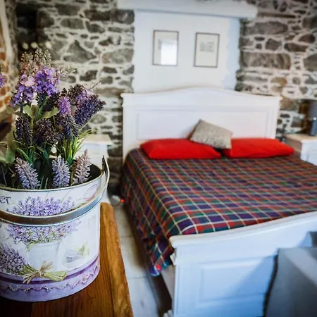 In Pietra E Legno Con Caminetto *