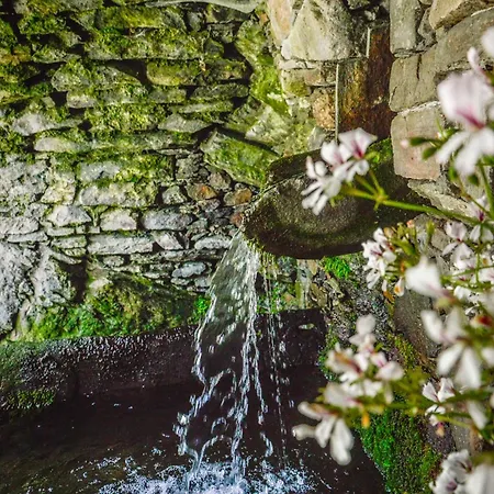 In Pietra E Legno Con Caminetto Lägenhet Inverso Pinasca