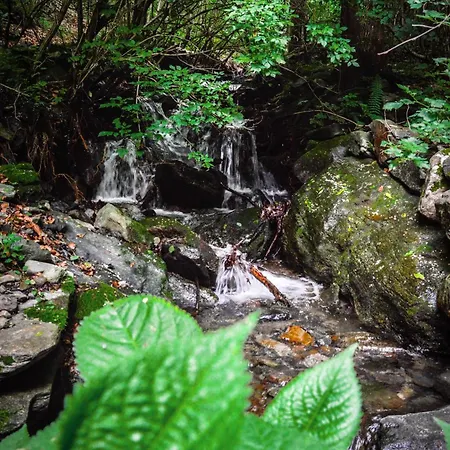 In Pietra E Legno Con Caminetto Apartman *