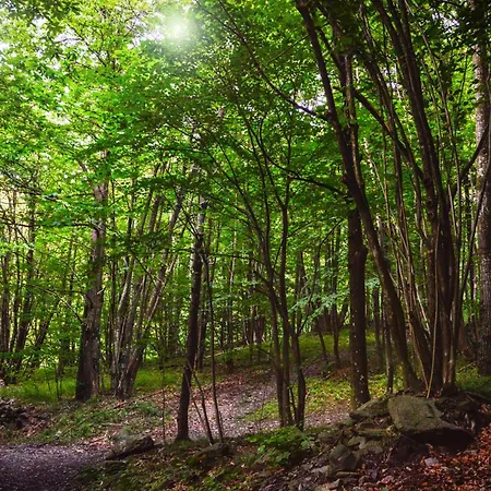 In Pietra E Legno Con Caminetto