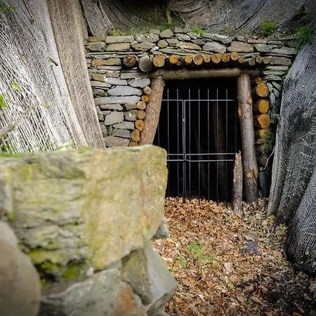 In Pietra E Legno Con Caminetto