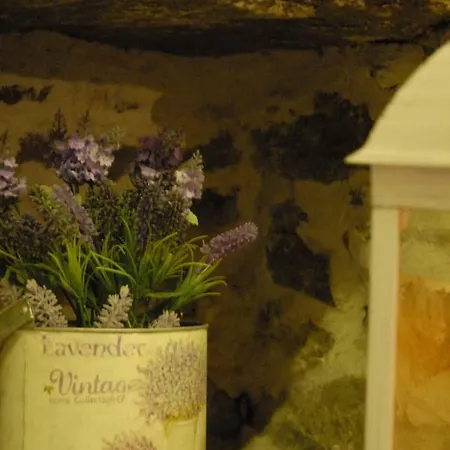 Apartman In Pietra E Legno Con Caminetto