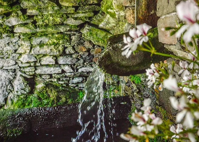 In Pietra E Legno Con Caminetto דירה Inverso Pinasca