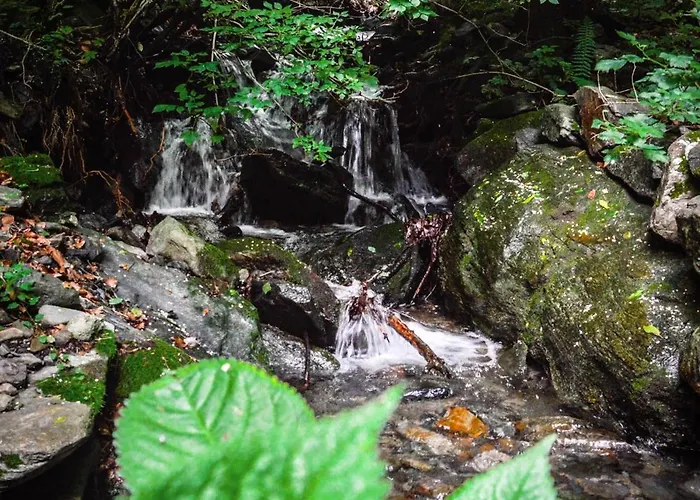 In Pietra E Legno Con Caminetto דירה *