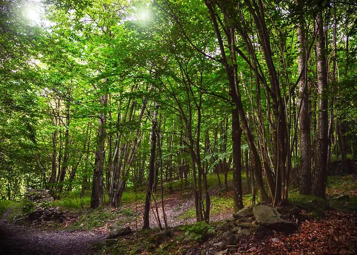 In Pietra E Legno Con Caminetto