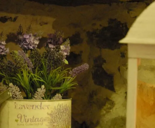 דירה In Pietra E Legno Con Caminetto